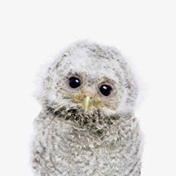 Meet your Posher, Carrie - Picture 1 of 1